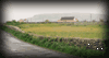 The Irish countryside with the Burren in the background