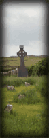 Graves in the Naughaval Church ruins