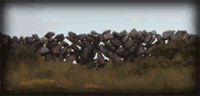 A mortarless stone wall along the green road